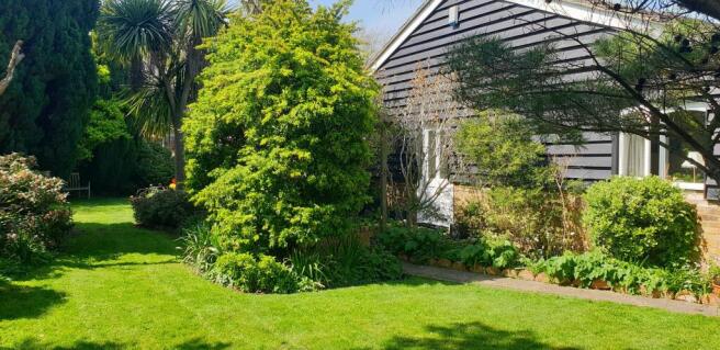 Garden (3)