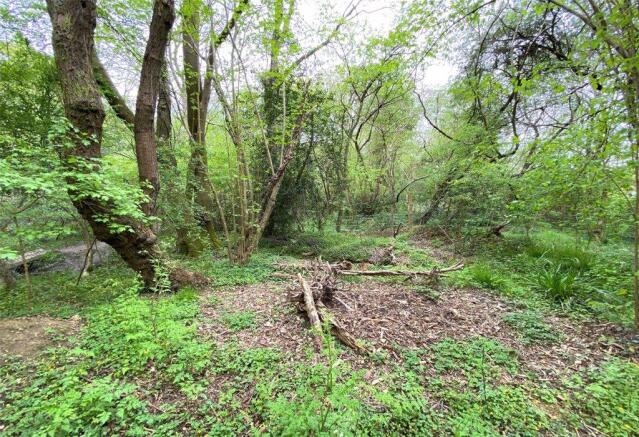 Woodland View