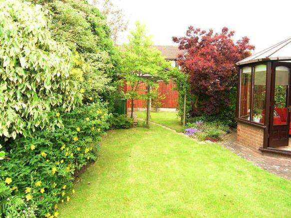 garden 1