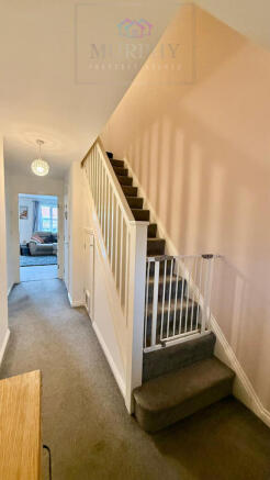 WhatsApp Image 2026-04-01 at 16.15.01 (3).jpeg