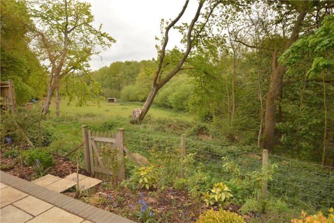 View From Garden