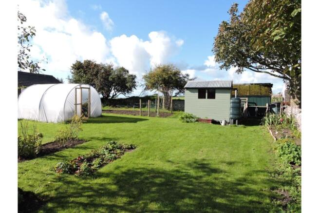 Large Garden