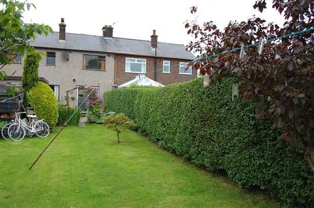 garden 2