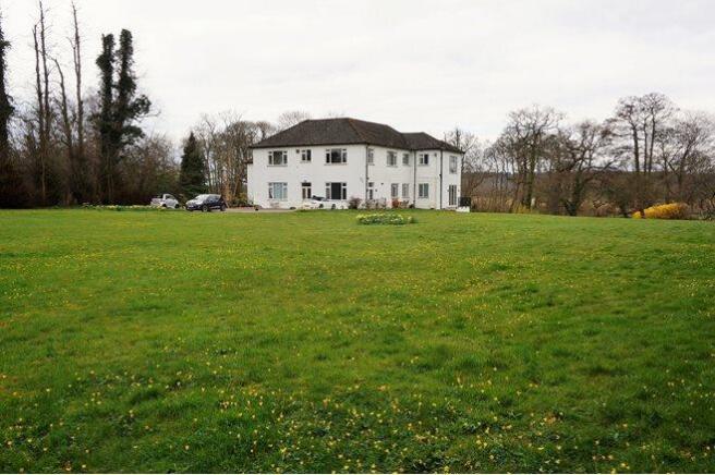 The Property