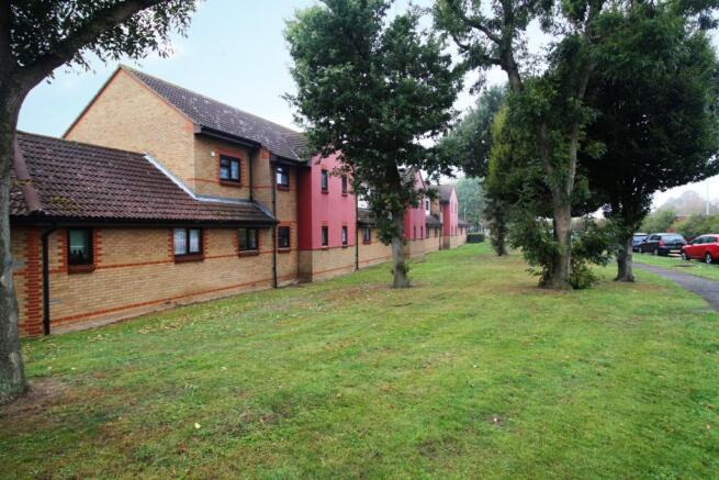 Image 8