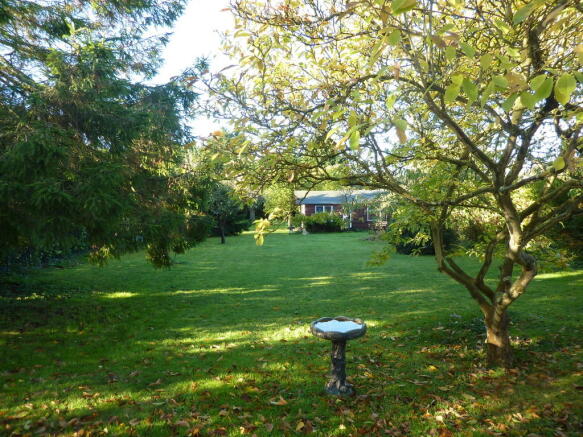 Photo 10