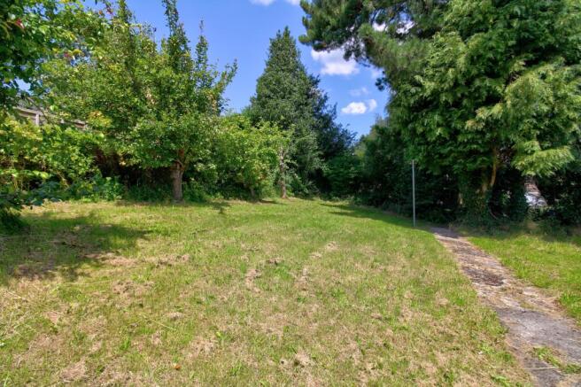 Garden new 1
