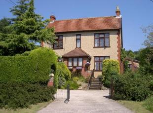 Front Aspect