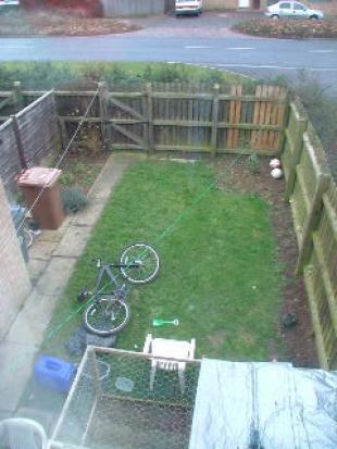 Back Garden