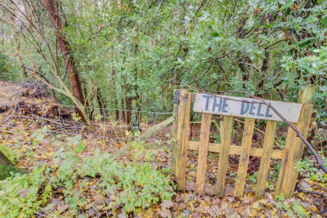 Access Onto The Dell