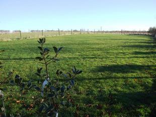 Paddock