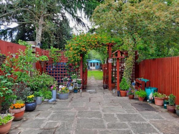 Garden in Summer