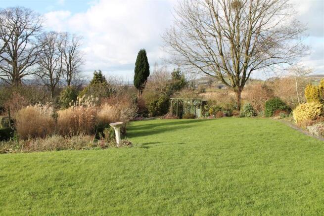 Garden 4.JPG