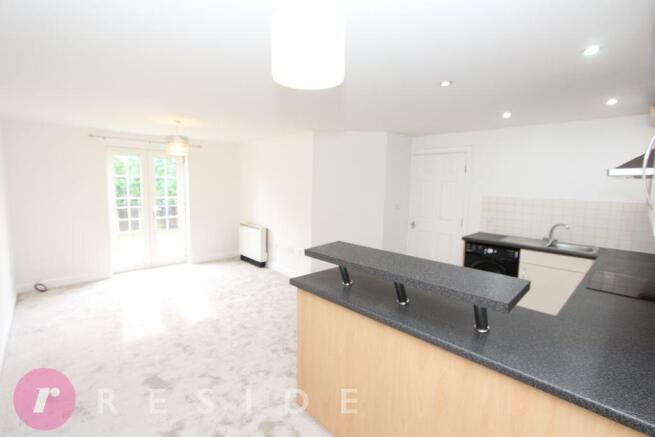 Open Kitchen / Living