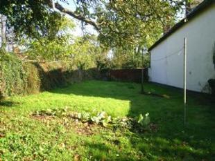 Garden 2