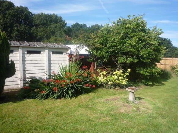 Photo 11
