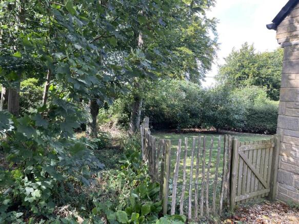 Back garden.jpg