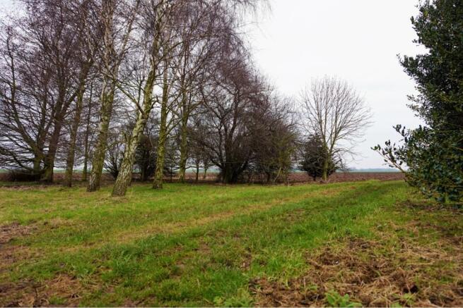 Orchard