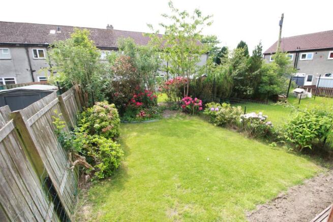 rear garden.JPG