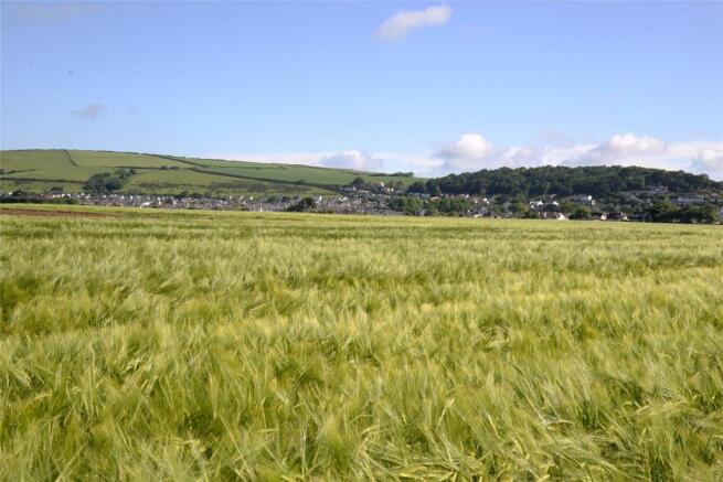 Great Field