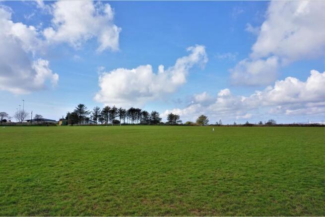 Field
