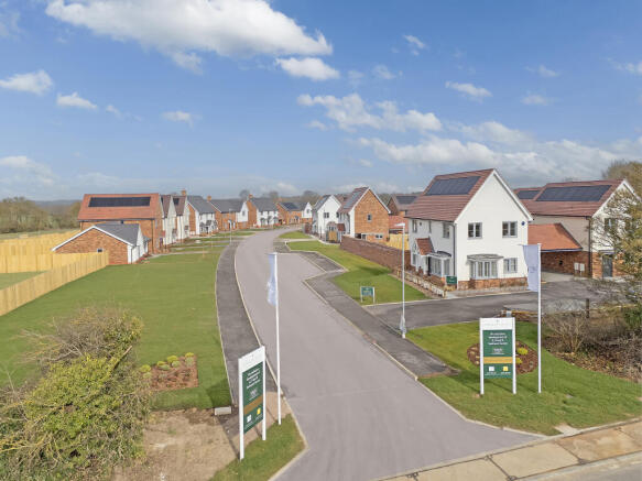 DJI_20240925102131_0038_D copy