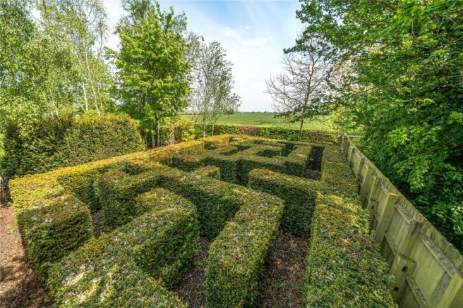 Maze