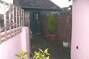 Patio: