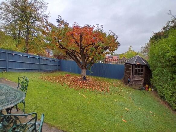 Photo 20