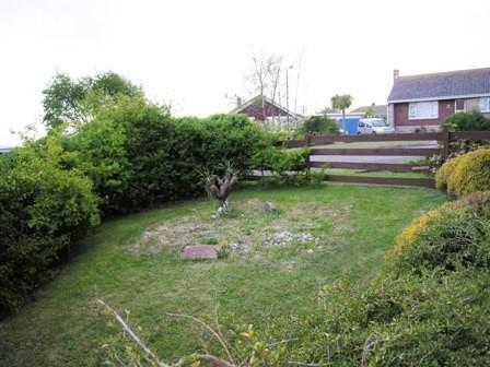 Side Garden