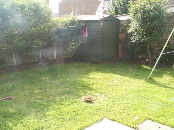 Photo 8