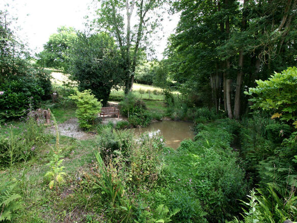 Pond 1