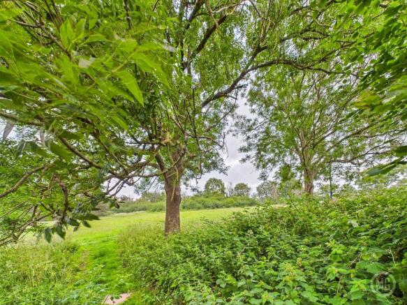 Rear Meadow