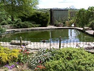 Photo 10