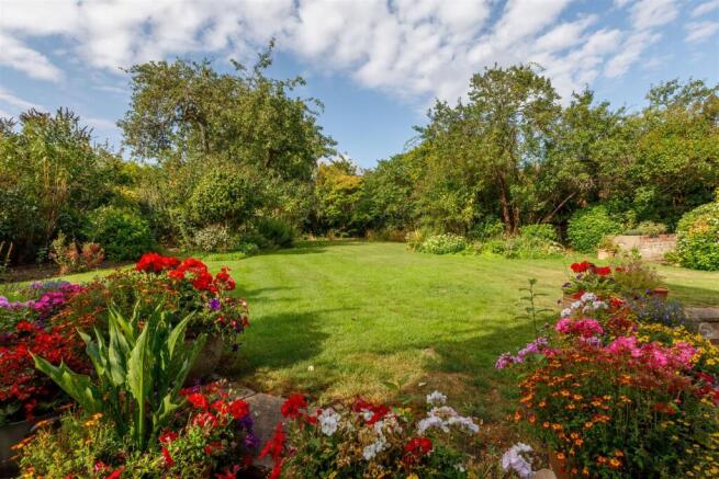 Delightful garden