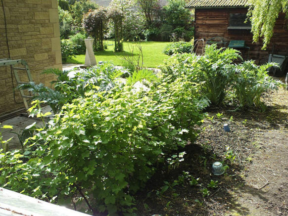 Photo 43