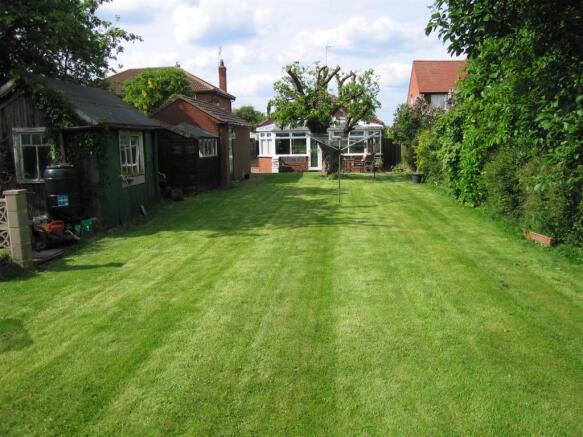 pinelea rear garden 