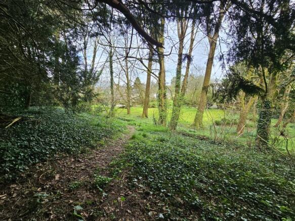 Tiverton - Seddons