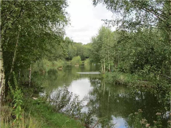 photo 4.jpg
