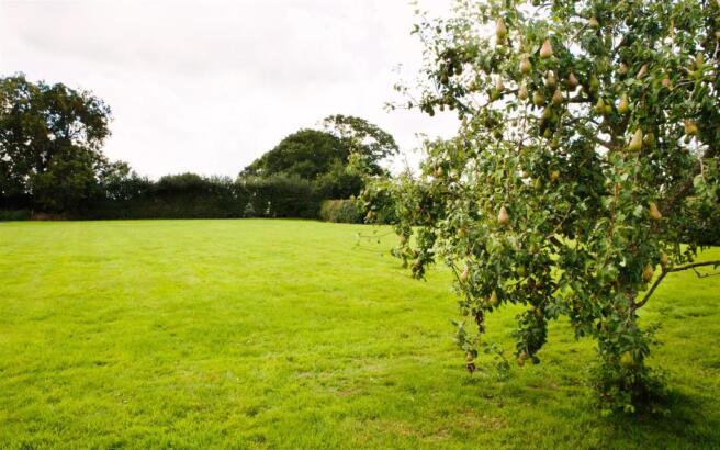gardens