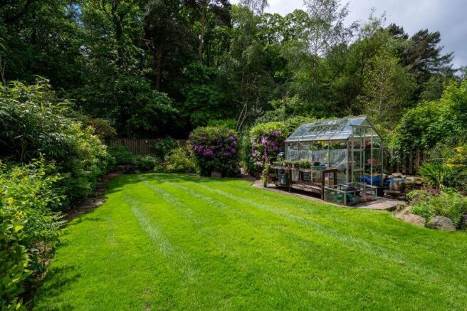 Part of Garden