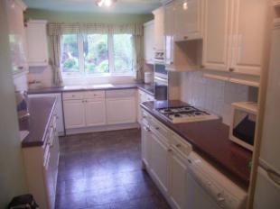 Kitchen View 1