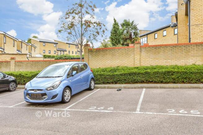 Driveway/Parking