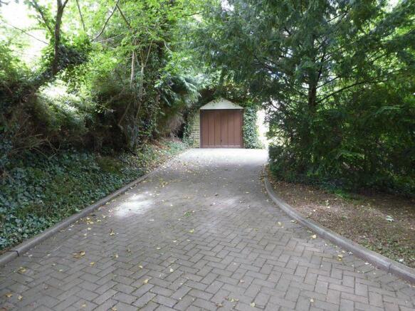 Photo 41