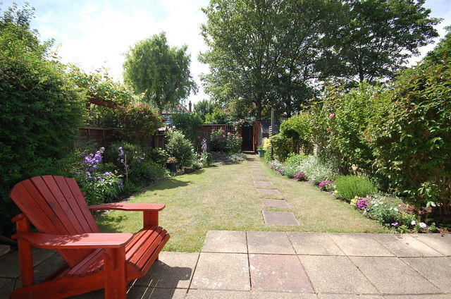 Photo 5