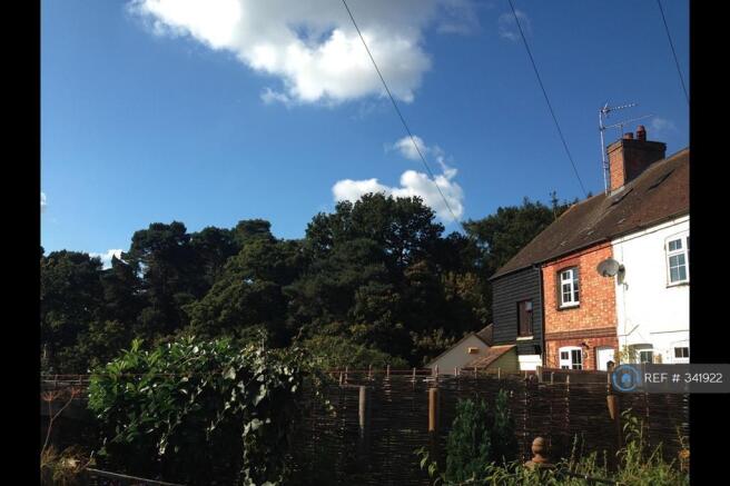 View From The Garden