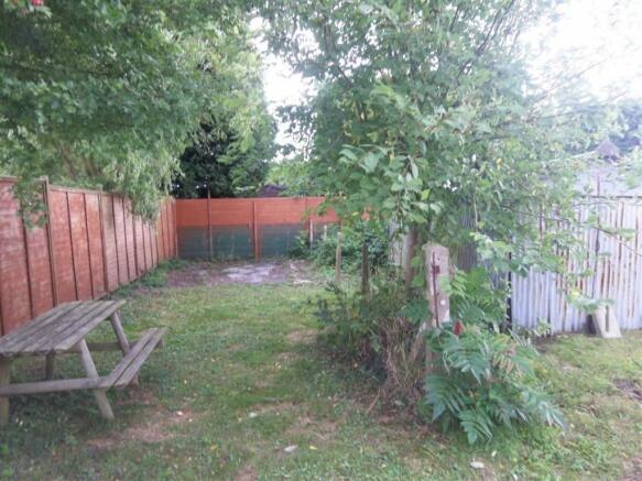 Photo 7