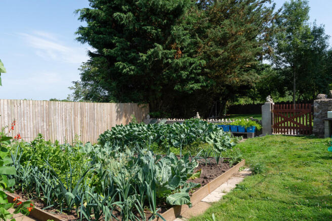 Vegetable garden