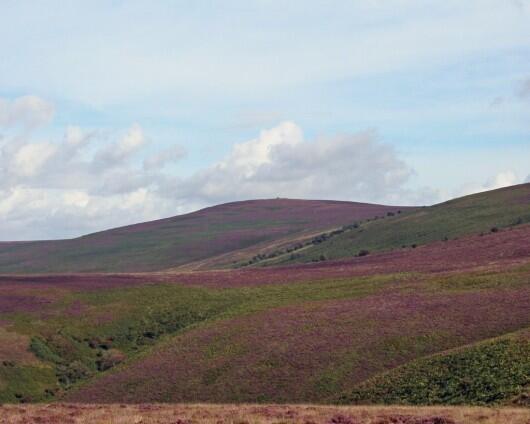 Exmoor National Park