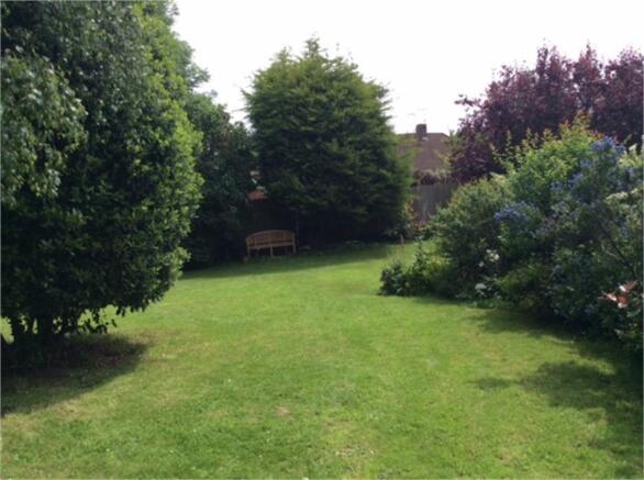 Photo 15